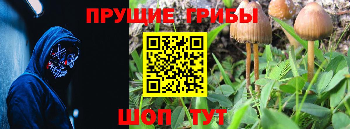 Галлюциногенные грибы Psilocybe  Псилоцибиновые грибы Cubensis  даркнет сайт  Вход с VPN  Джанкой 